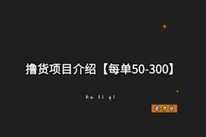 撸货项目介绍(每单50-300+)-苦力岂-创业笔记