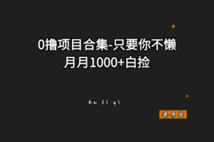 0撸项目合集-只要你不懒-月月1000+-苦力岂-创业笔记